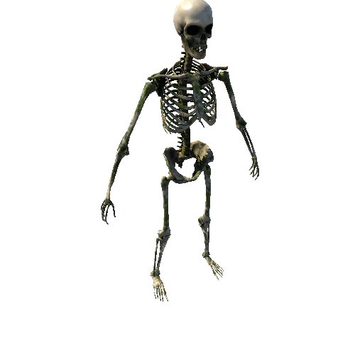 SK_Skeleton_SandMoss Variant